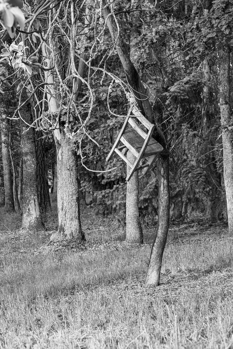 La Chaise Qui Cache la Foret La Chaise Qui Cache la Foret