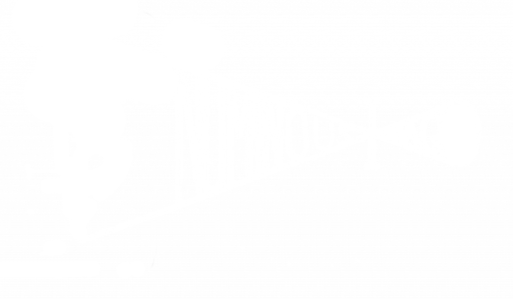 NewLogoNuminousImago-1024x597